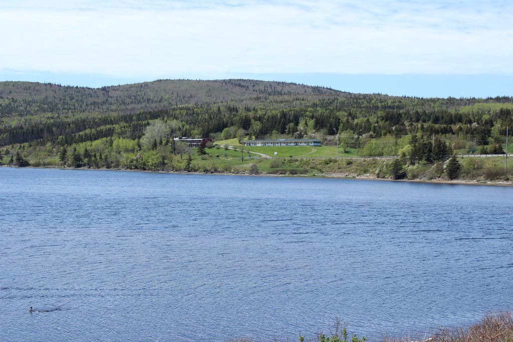 Duck Cove Margaree Harbour