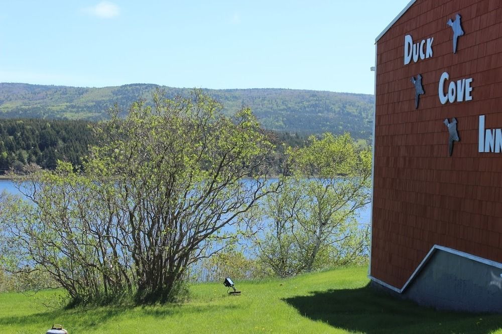 Duck Cove Margaree Harbour