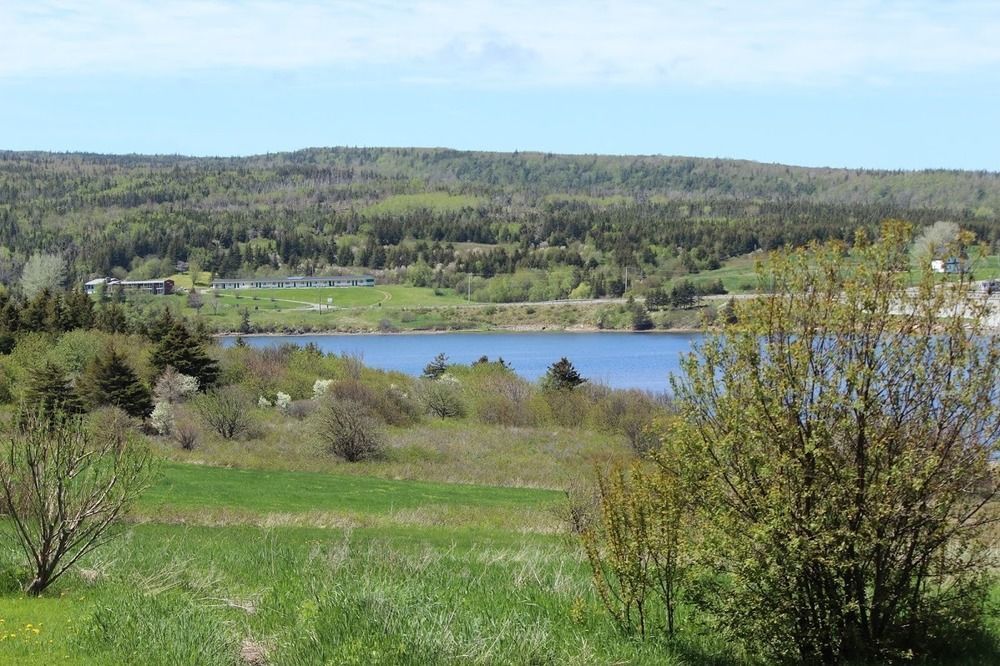 Duck Cove 3*