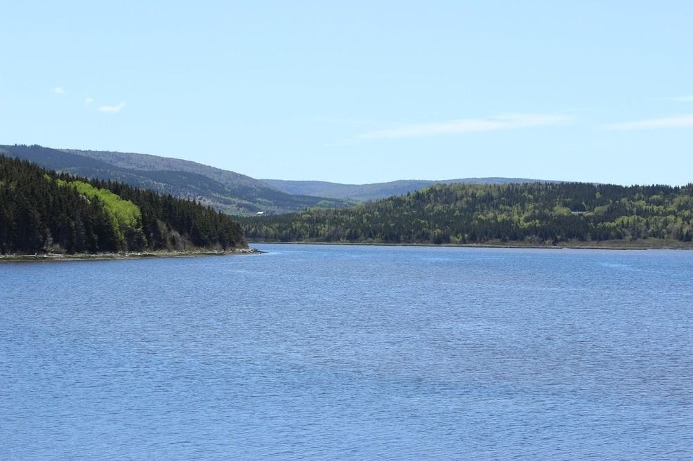 Duck Cove 3*